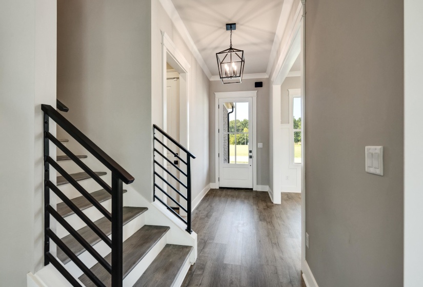 Entryway featuring ornamental molding, dark wood-style flooring, and a chandelier