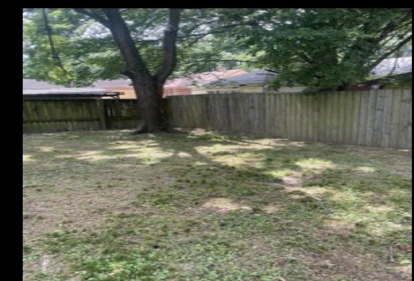 View of fenced backyard