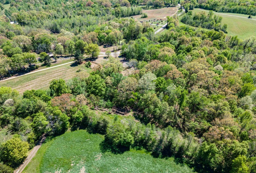 830 MCKNIGHT LOOP, Mason, Tennessee 38049, ,Land,For Sale,MCKNIGHT,10218780