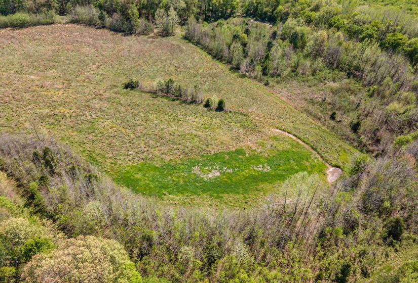 830 MCKNIGHT LOOP, Mason, Tennessee 38049, ,Land,For Sale,MCKNIGHT,10218780