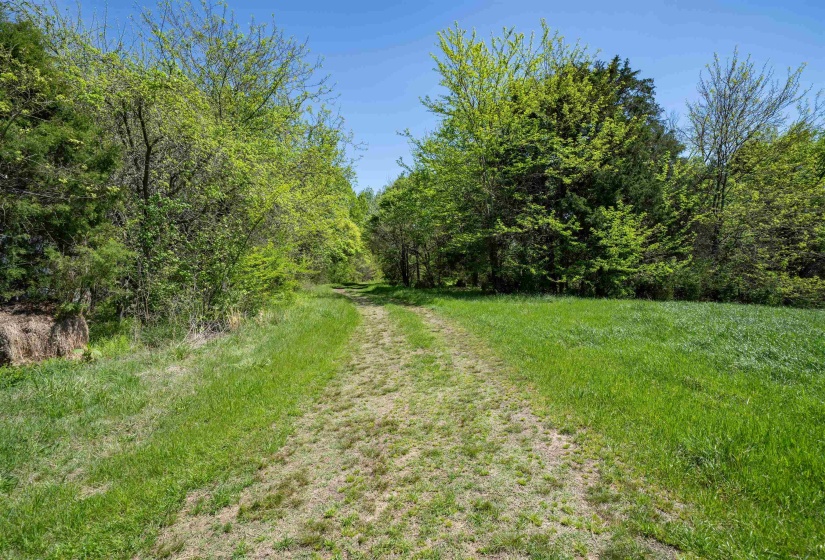 830 MCKNIGHT LOOP, Mason, Tennessee 38049, ,Land,For Sale,MCKNIGHT,10218780