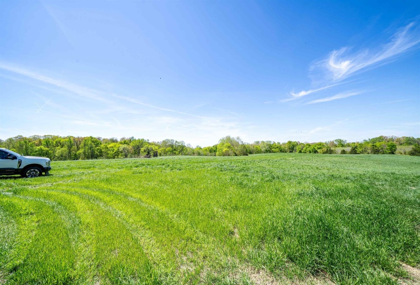 830 MCKNIGHT LOOP, Mason, Tennessee 38049, ,Land,For Sale,MCKNIGHT,10218780