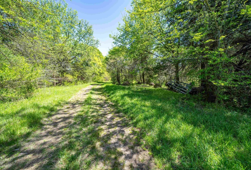 830 MCKNIGHT LOOP, Mason, Tennessee 38049, ,Land,For Sale,MCKNIGHT,10218780