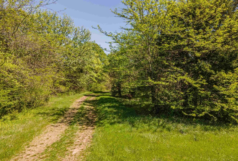 830 MCKNIGHT LOOP, Mason, Tennessee 38049, ,Land,For Sale,MCKNIGHT,10218780