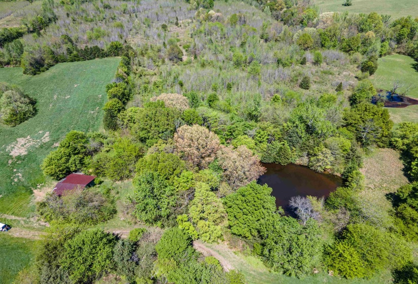 830 MCKNIGHT LOOP, Mason, Tennessee 38049, ,Land,For Sale,MCKNIGHT,10218780