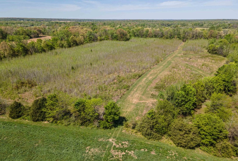830 MCKNIGHT LOOP, Mason, Tennessee 38049, ,Land,For Sale,MCKNIGHT,10218780