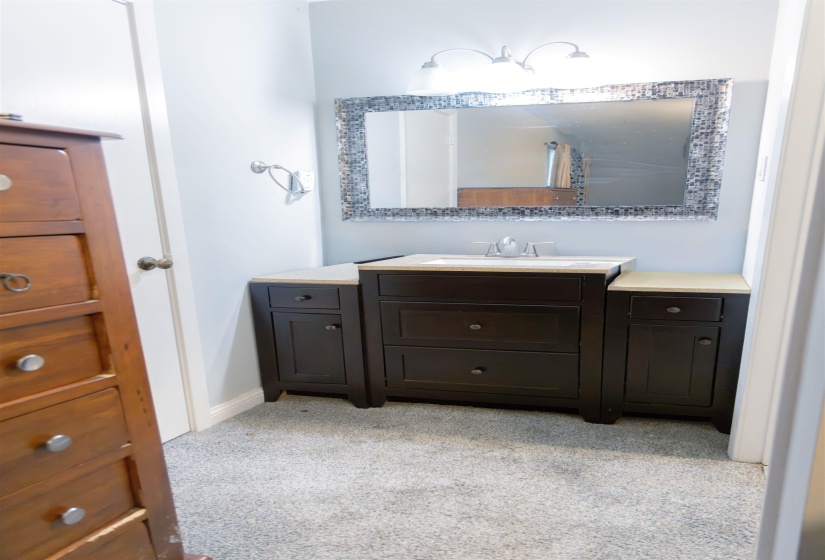 Bathroom featuring vanity and light carpet