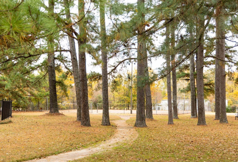 View of home's community