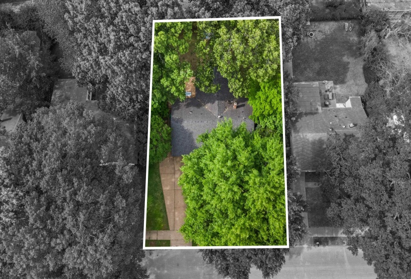 Property outlined by a white border, featuring mature trees providing extensive canopy coverage, a shingle roof, and a concrete driveway leading to the residence