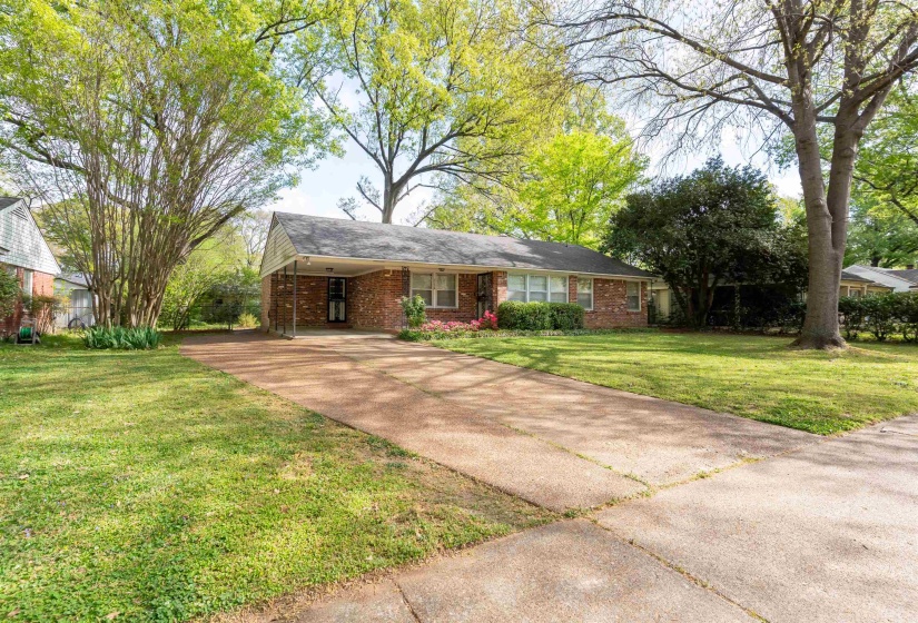 Brick exterior home featuring a covered carport, a concrete driveway, and a front lawn with mature trees and established landscaping