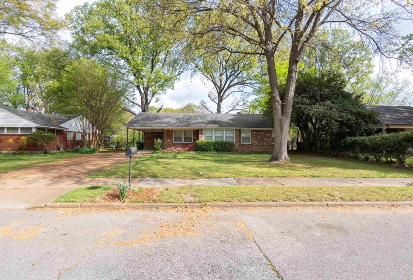 Brick exterior home featuring a covered carport, mature trees, a front lawn, and a paved driveway