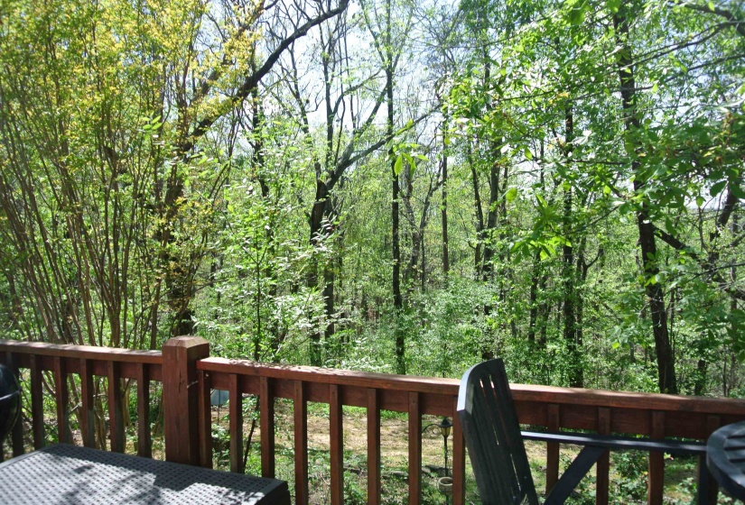 15 TAMARA TRL, Iuka, Mississippi 38326, 4 Bedroom Bedrooms, 7 Room Rooms,2 BathroomBathrooms,Residential,For Sale,TAMARA,0,10218777