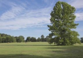 3490 YAGER RD, Moscow, Tennessee 38057, 3 Bedrooms Bedrooms, 8 Rooms Rooms,3.1 BathroomsBathrooms,Residential,For Sale,YAGER,10218789