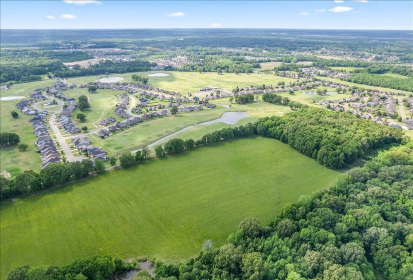 Aerial perspective of suburban area