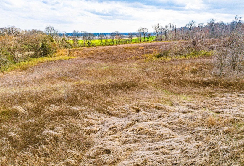 View of undeveloped land featuring rural landscape