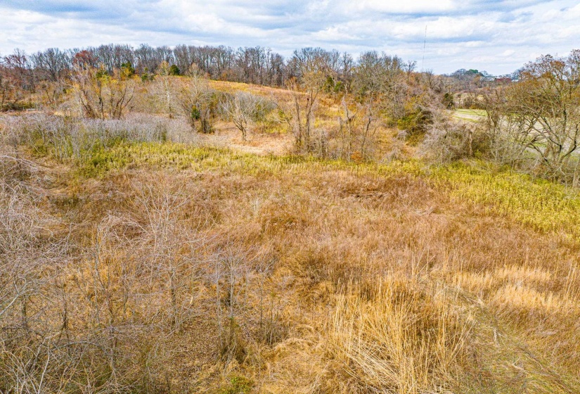 View of undeveloped land