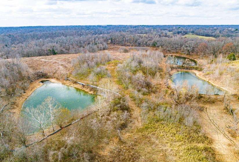 Drone / aerial view of a nearby body of water and a forest