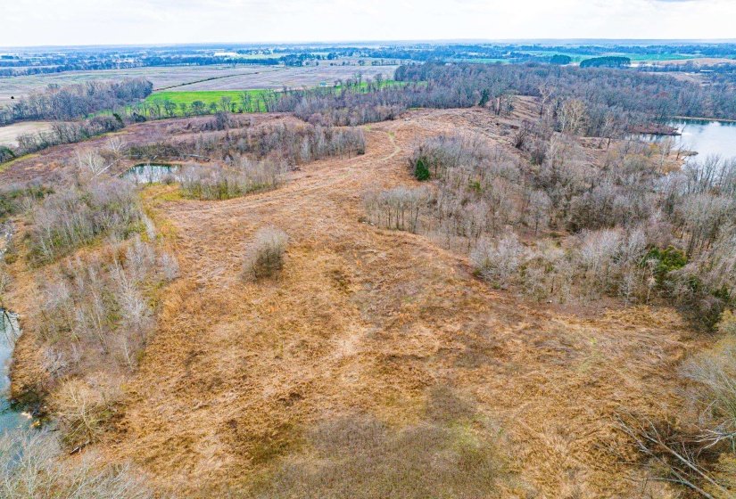 Bird's eye view of a nearby body of water