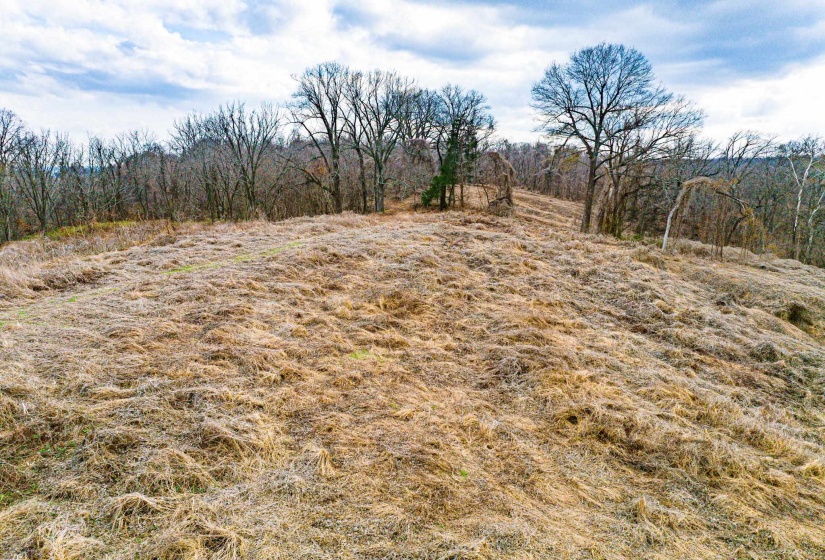 View of yard with a rural view
