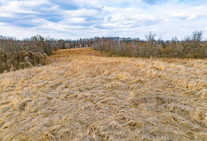 View of undeveloped land with rural landscape