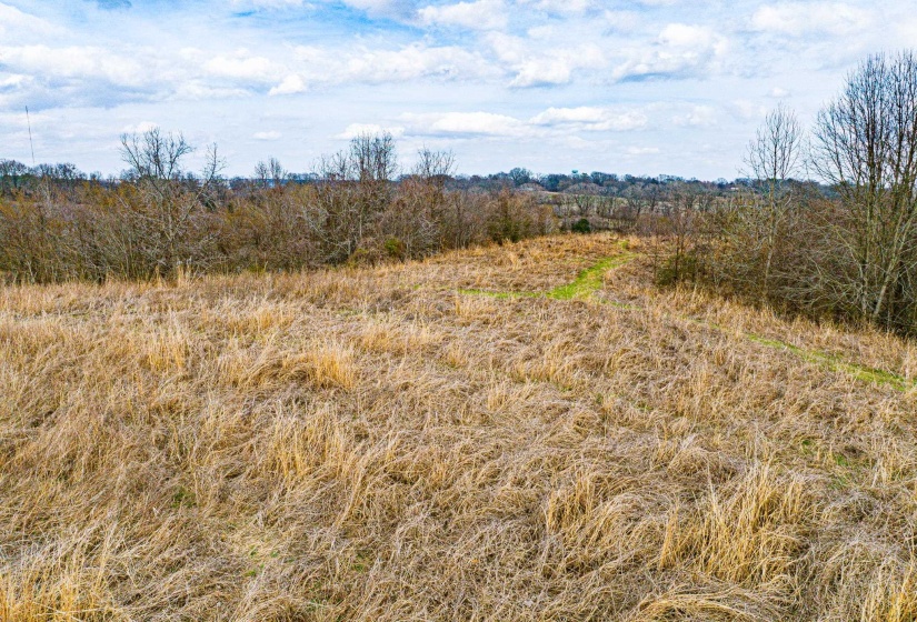View of local wilderness with rural landscape