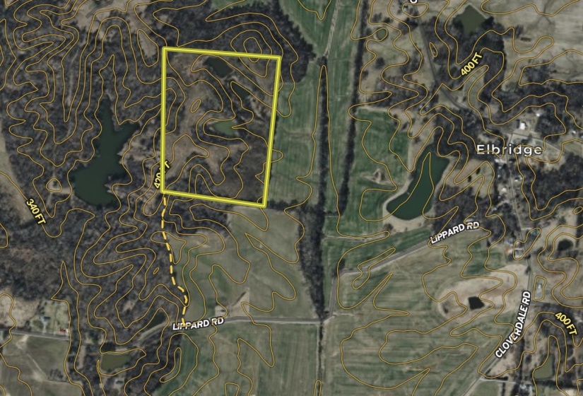 Aerial overview of property's location