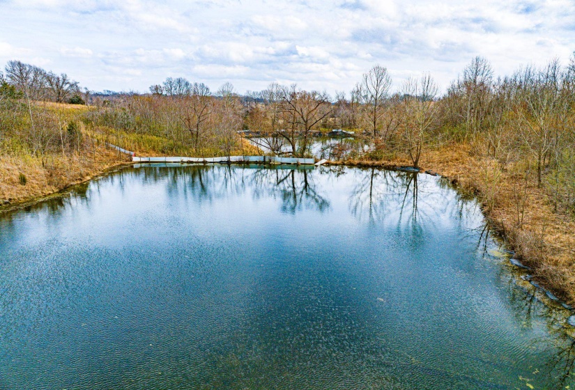 Water view