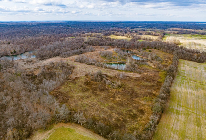 Bird's eye view of a large body of water and a forest