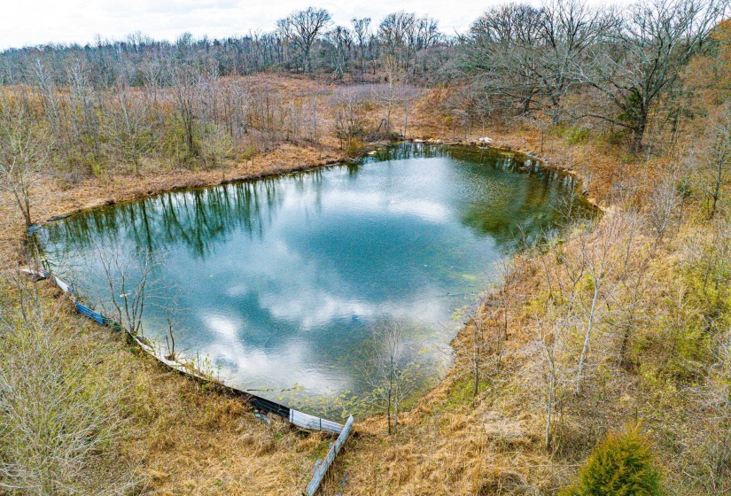 Water view featuring a forest