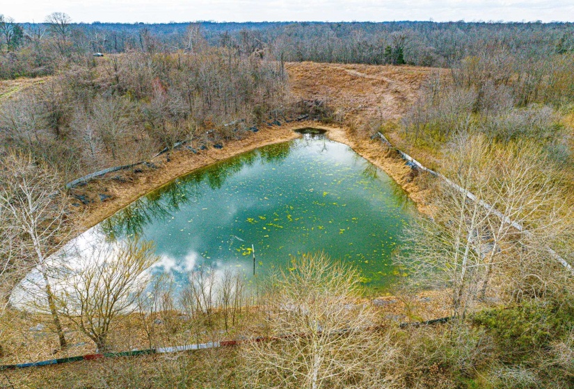 Aerial view of a large body of water and a forest