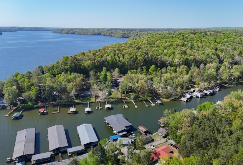 CR 262 RD, Iuka, Mississippi 38852, ,Land,For Sale,CR 262,10218824