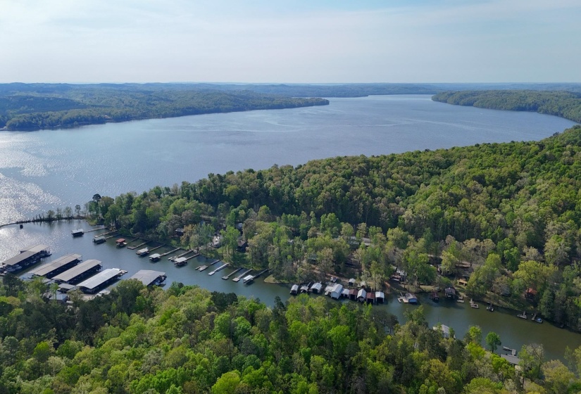 CR 262 RD, Iuka, Mississippi 38852, ,Land,For Sale,CR 262,10218824