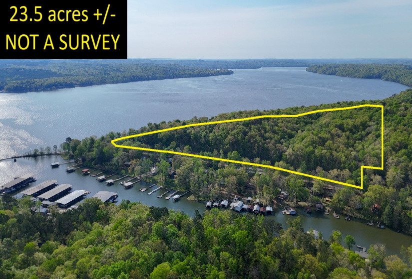 CR 262 RD, Iuka, Mississippi 38852, ,Land,For Sale,CR 262,10218824