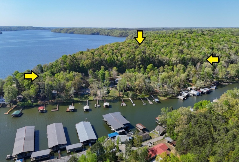 CR 262 RD, Iuka, Mississippi 38852, ,Land,For Sale,CR 262,10218824