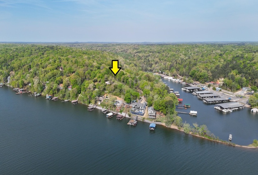 CR 262 RD, Iuka, Mississippi 38852, ,Land,For Sale,CR 262,10218824