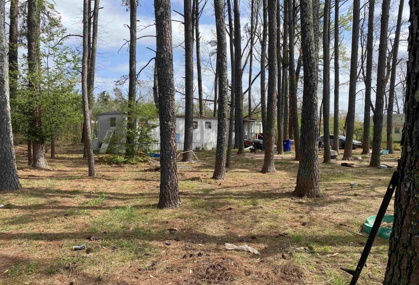 120 COCHRAN ST, Savannah, Tennessee 38372, ,Land,For Sale,COCHRAN,10218827