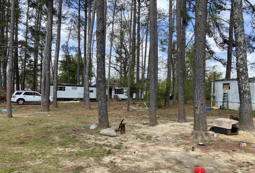 120 COCHRAN ST, Savannah, Tennessee 38372, ,Land,For Sale,COCHRAN,10218827