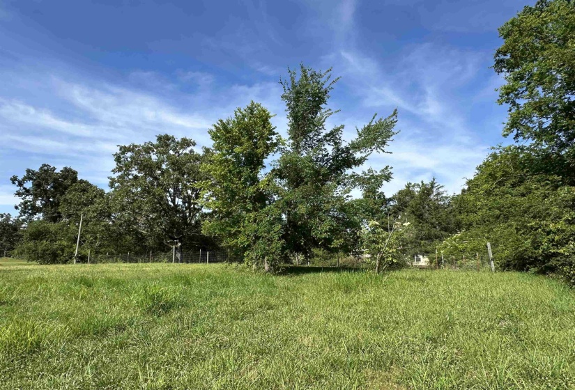 Expansive grassy field with mature trees bordering the perimeter