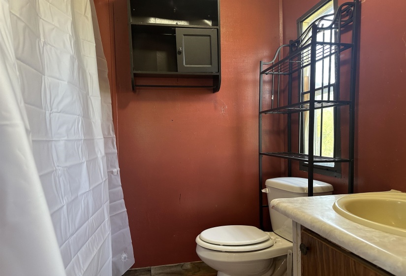 Bathroom with vanity and a shower with shower curtain