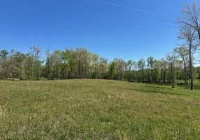00 PEAR BLOSSOM LN, Adamsville, Tennessee 38310, 0 , 0 ,0,Land,For Sale,PEAR BLOSSOM,0,10218887 00 PEAR BLOSSOM LN, Adamsville, Tennessee 38310, 0 , 0 ,0,Land,For Sale,PEAR BLOSSOM,0,10218887