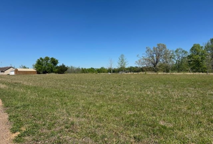 00 PEAR BLOSSOM LN, Adamsville, Tennessee 38310, 0 , 0 ,0,Land,For Sale,PEAR BLOSSOM,0,10218887