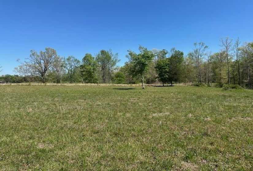 00 PEAR BLOSSOM LN, Adamsville, Tennessee 38310, 0 , 0 ,0,Land,For Sale,PEAR BLOSSOM,0,10218887