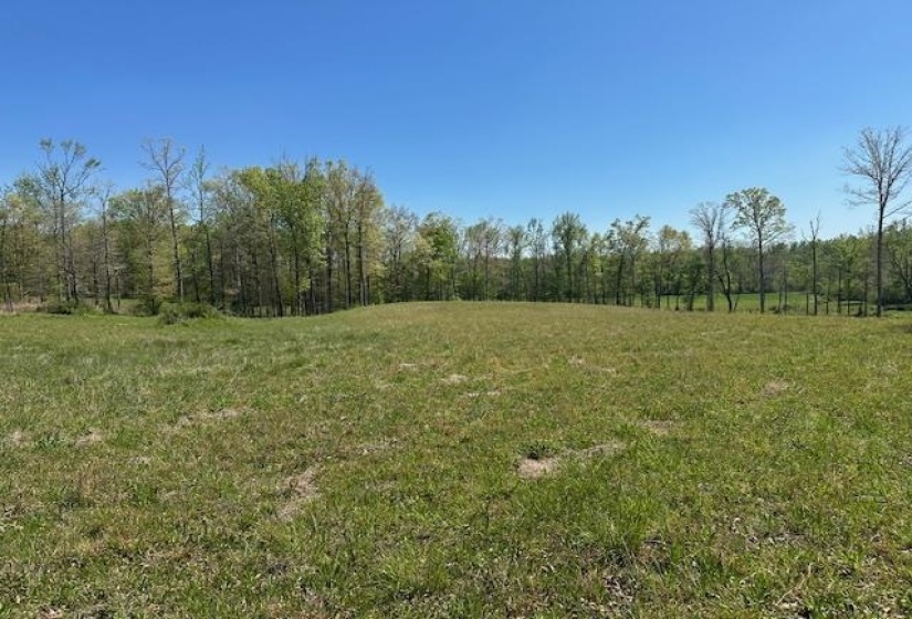 00 PEAR BLOSSOM LN, Adamsville, Tennessee 38310, 0 , 0 ,0,Land,For Sale,PEAR BLOSSOM,0,10218887