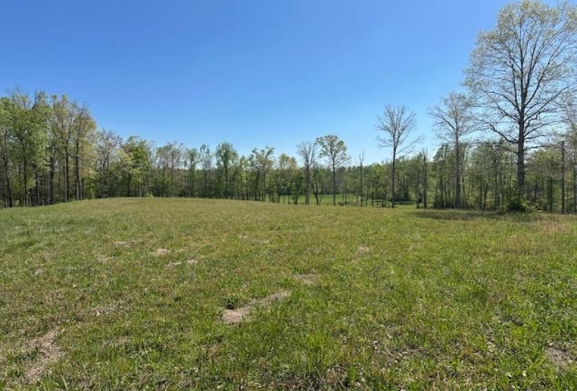 00 PEAR BLOSSOM LN, Adamsville, Tennessee 38310, 0 , 0 ,0,Land,For Sale,PEAR BLOSSOM,0,10218887