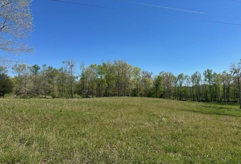 00 PEAR BLOSSOM LN, Adamsville, Tennessee 38310, 0 , 0 ,0,Land,For Sale,PEAR BLOSSOM,0,10218887