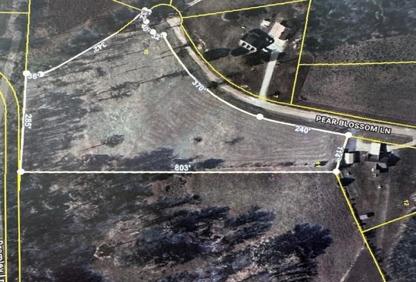 00 PEAR BLOSSOM LN, Adamsville, Tennessee 38310, 0 , 0 ,0,Land,For Sale,PEAR BLOSSOM,0,10218887