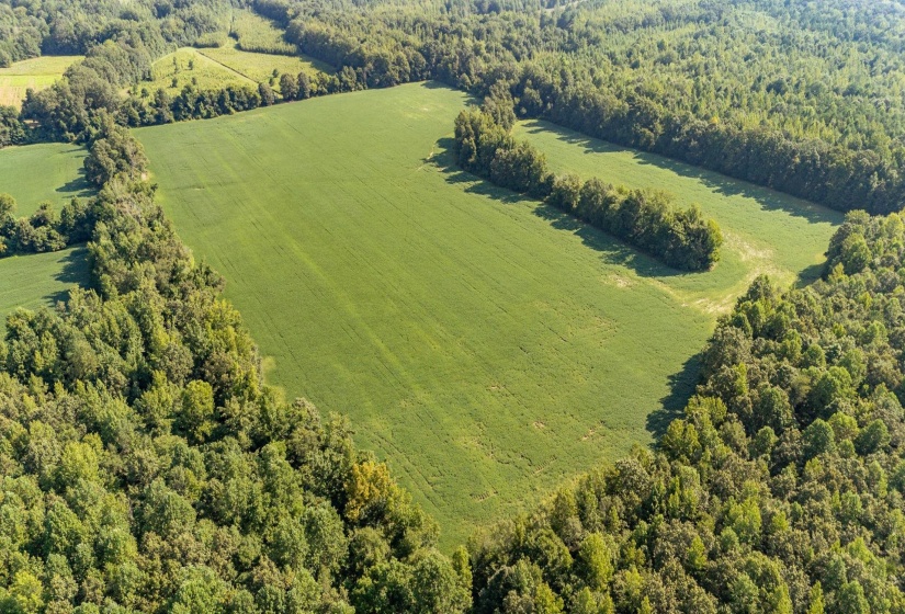 2395 POCAHONTAS RD, Pocahontas, Tennessee 38061-5537, 3 Bedrooms Bedrooms, 8 Rooms Rooms,2 BathroomsBathrooms,Residential,For Sale,POCAHONTAS,10218873