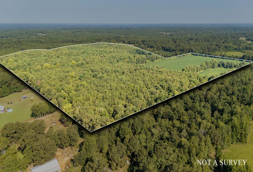 2395 POCAHONTAS RD, Pocahontas, Tennessee 38061-5537, 3 Bedrooms Bedrooms, 8 Rooms Rooms,2 BathroomsBathrooms,Residential,For Sale,POCAHONTAS,10218873