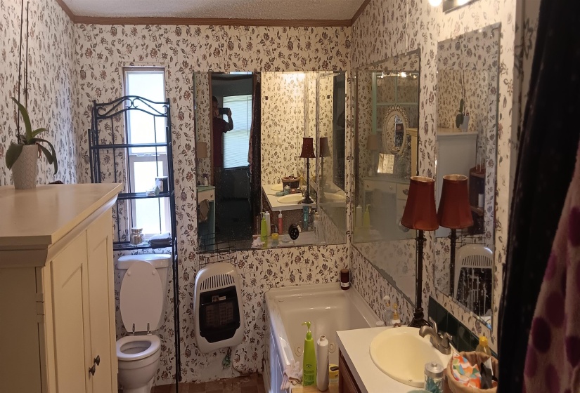 100 ACADEMY RD, Pulaski, Tennessee 38478, 3 Bedroom Bedrooms, 7 Room Rooms,2 BathroomBathrooms,Residential,For Sale,ACADEMY,0,10218889