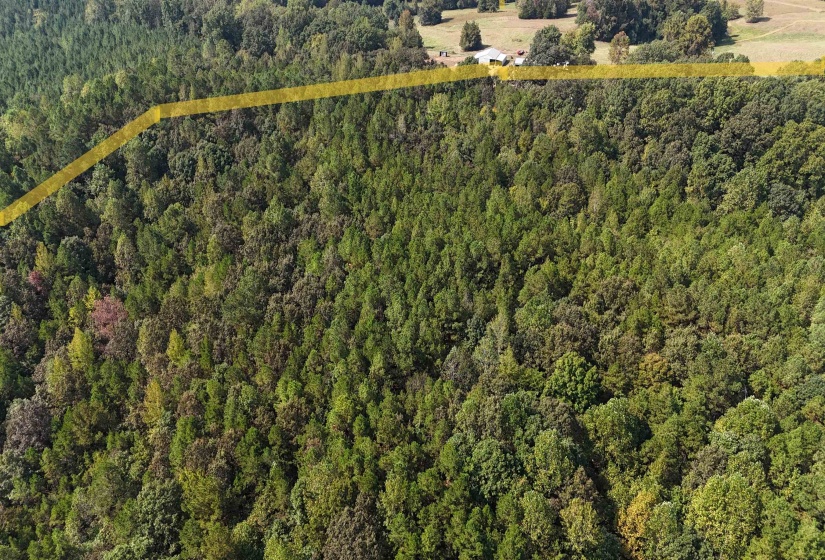 Aerial view of property's location